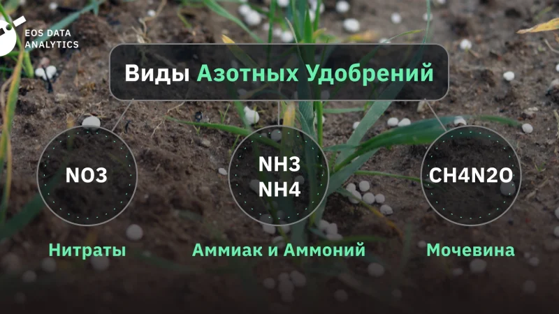 Азотные удобрения: виды, применение и влияние на растения