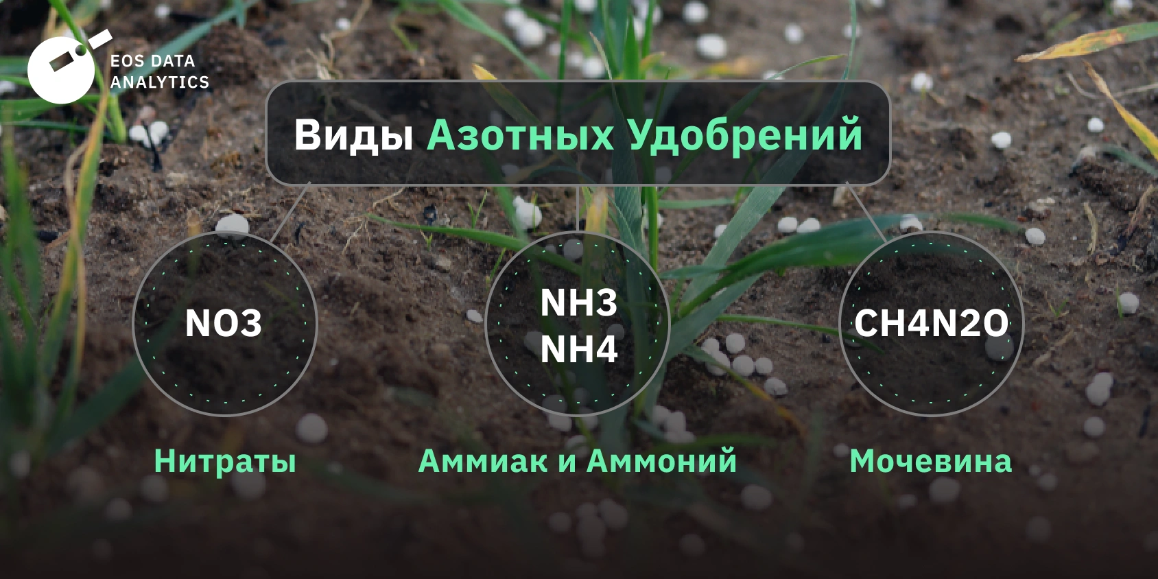 Азотные удобрения: виды, применение и влияние на растения
