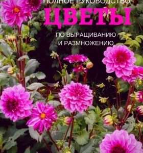Выращивание цветов из семян: полное руководство для начинающих