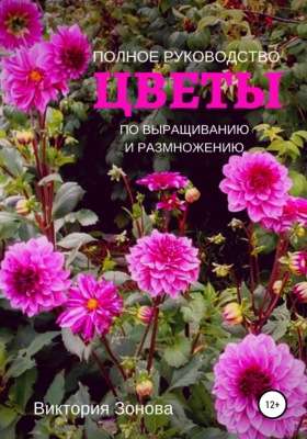 Выращивание цветов из семян: полное руководство для начинающих