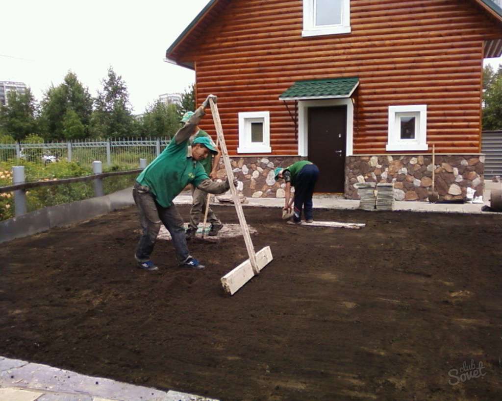 Как посадить газон своими руками: пошаговая инструкция