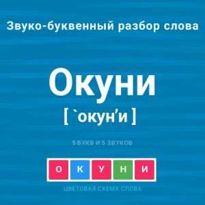 Как разделить слово окуни на слоги подробный анализ