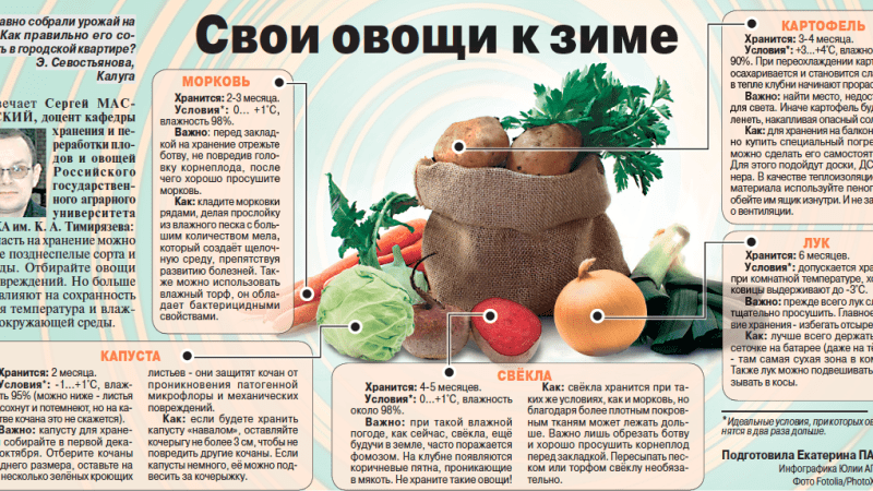 Какие сорта овощей лучше всего подходят для хранения