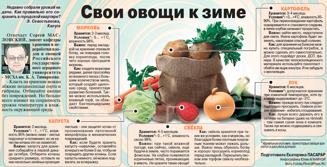 Какие сорта овощей лучше всего подходят для хранения