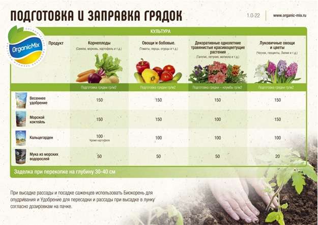 Когда вносить удобрения для максимального урожая