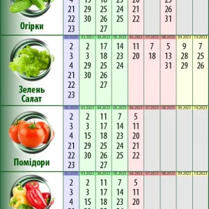 Лунный календарь для посадки на рассаду: Секреты богатого урожая