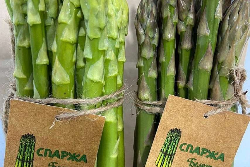 Лучшие сорта овощей для Белгородской области