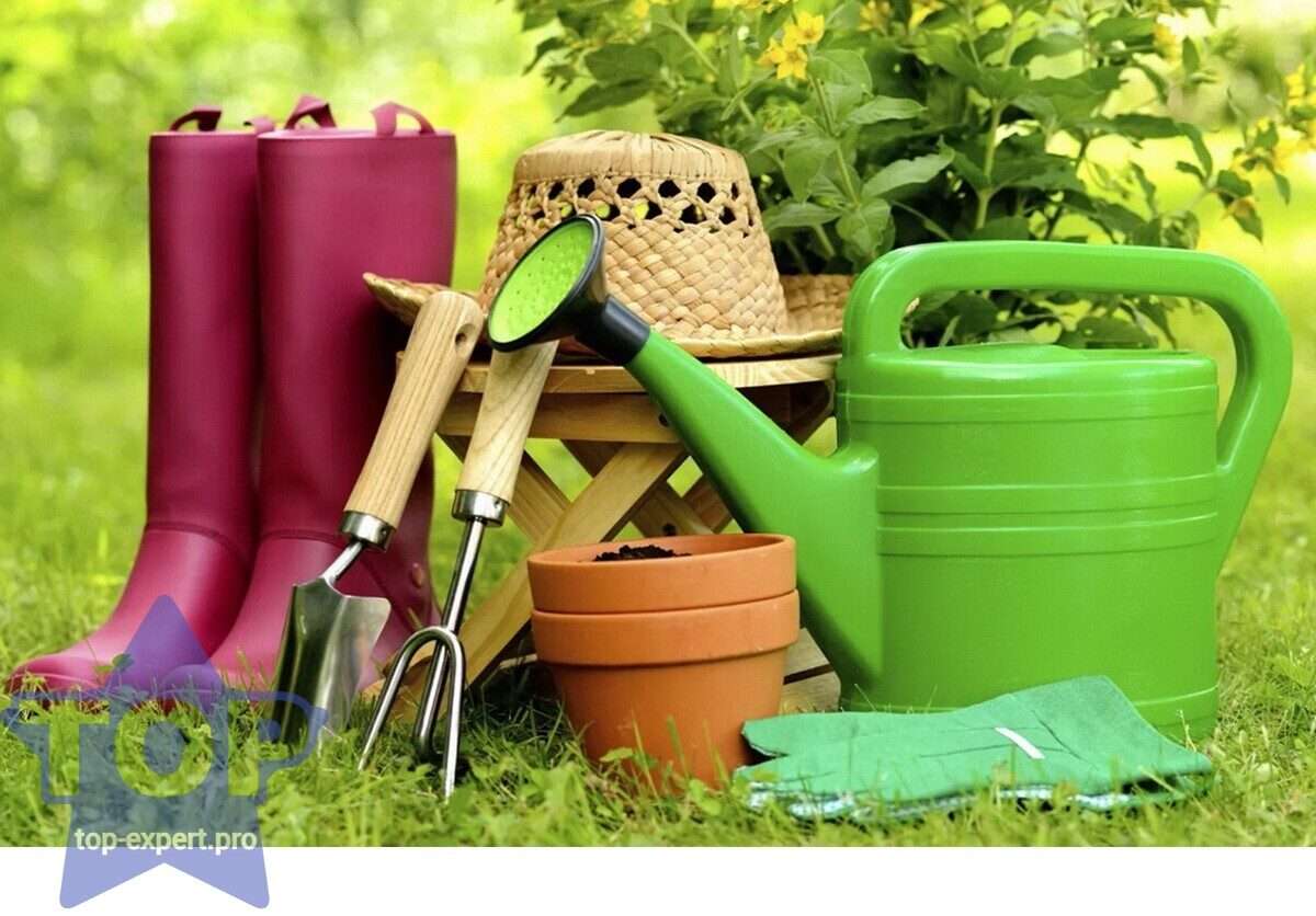 Лучший инвентарь для дачи: создаем райский уголок