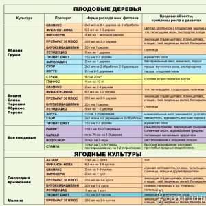 Обработка деревьев и кустарников: полное руководство