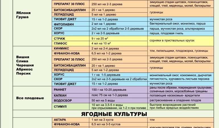 Обработка деревьев и кустарников: полное руководство