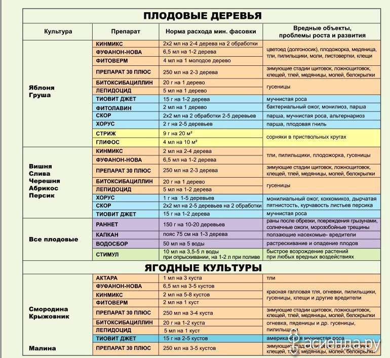 Обработка деревьев и кустарников: полное руководство