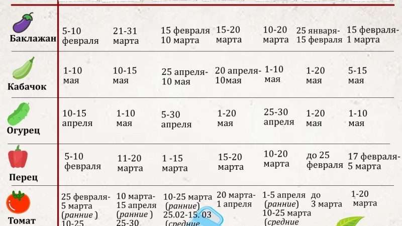 Оптимальные сроки посадки рассады огурцов: определяющие факторы