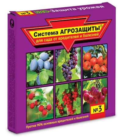 Препараты от болезней для растений: защита вашего сада и урожая