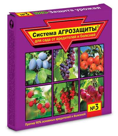Препараты от болезней для растений: защита вашего сада и урожая