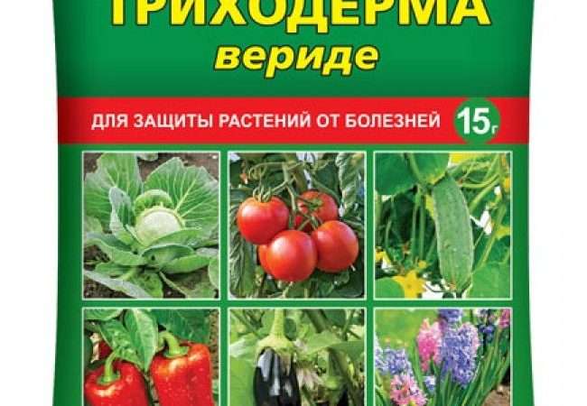 Препараты от болезней растений: защита вашего сада и огорода