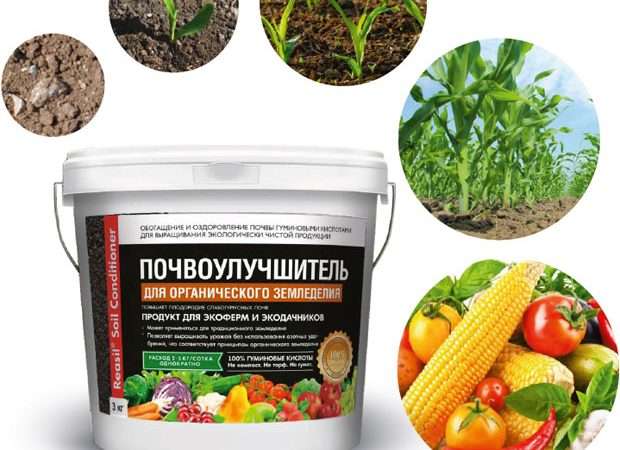 Растения как удобрения: эффективные методы органического земледелия