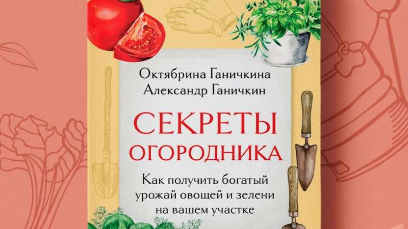 Секреты богатого урожая овощей: мой опыт и технологии