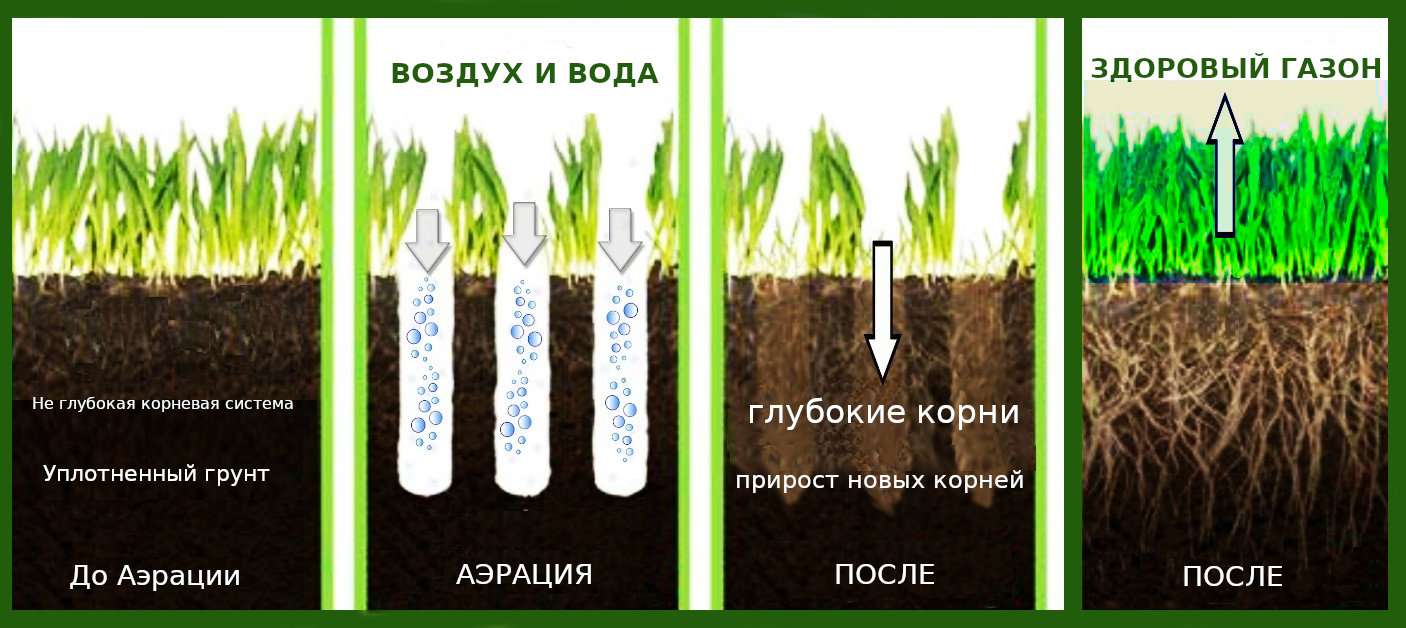 Создание идеального газона своими руками: пошаговое руководство