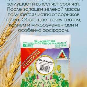 Удобрение почвы рожью: эффективный и экологичный метод