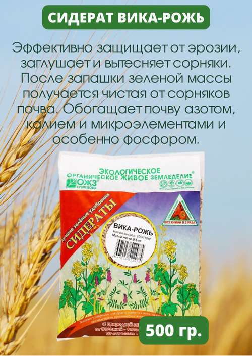 Удобрение почвы рожью: эффективный и экологичный метод