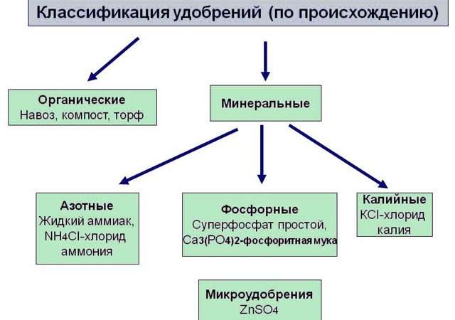 Удобрения: виды, свойства и правила применения для богатого урожая